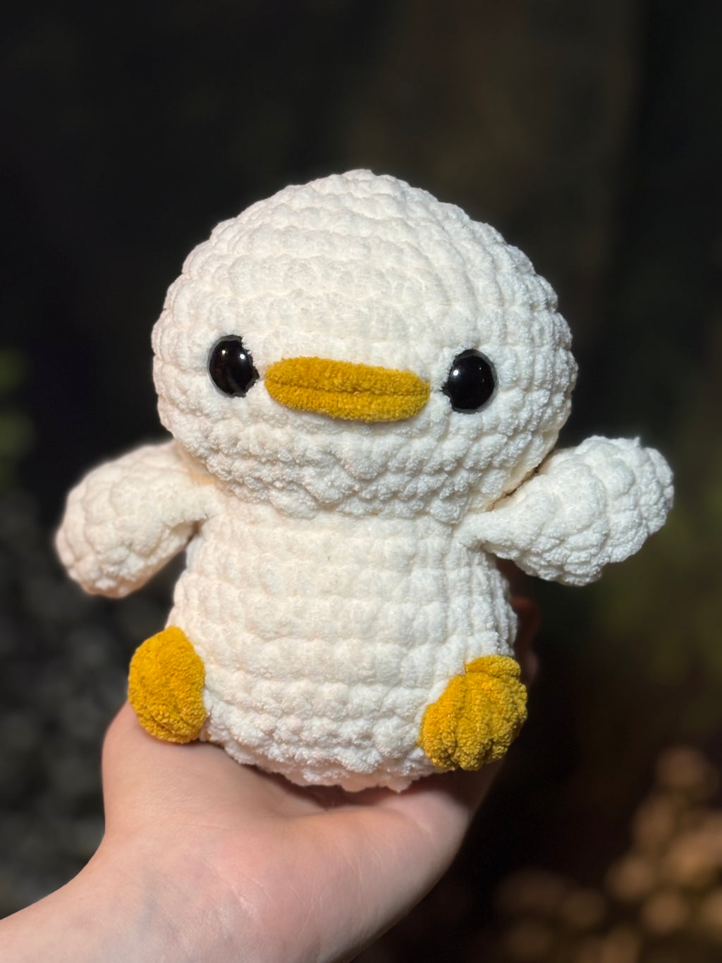 Duck